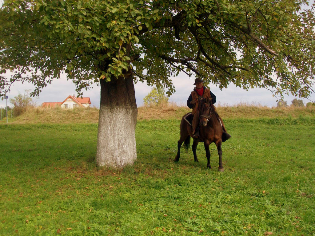 Ośrodek wypoczynkowy Stara Kuźnia *